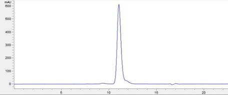 SEC- HPLC Purity.png SEC- HPLC Purity.png